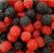Rainbow Blackberries & Raspberries 1kg_25891