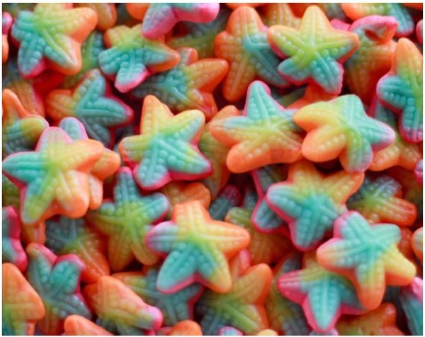 SWL Starfish 2kg